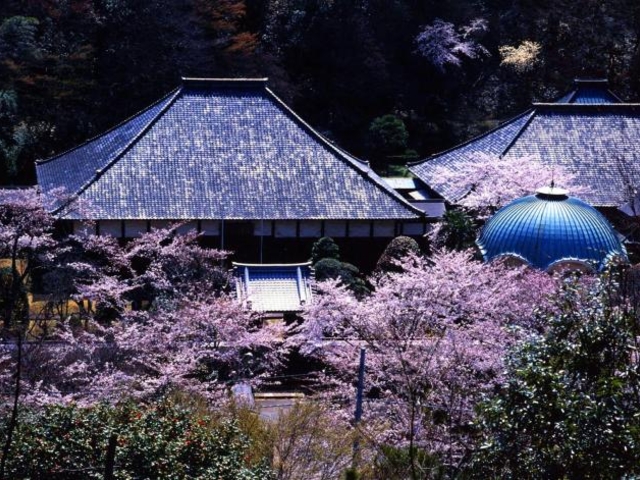 ���V���@�؎�