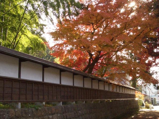 ���V���@�؎�