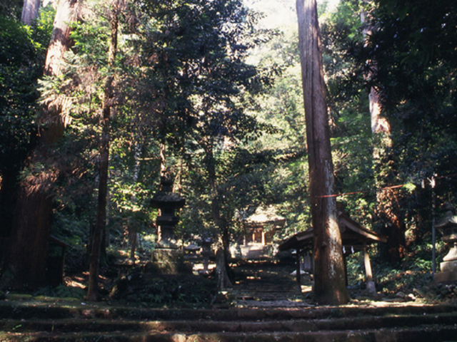 �����{���{�_��