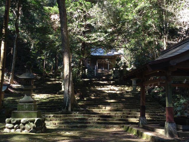 �����{���{�_��