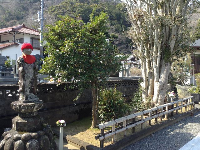 東福寺】アクセス・営業時間・料金情報 - じゃらんnet