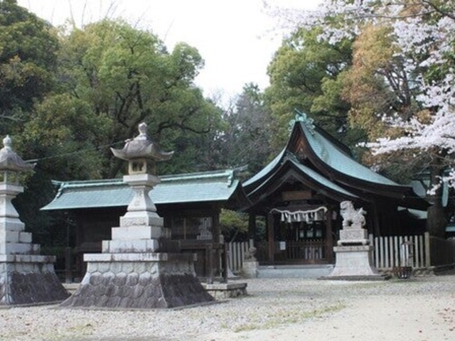 �ɑ��g���_��