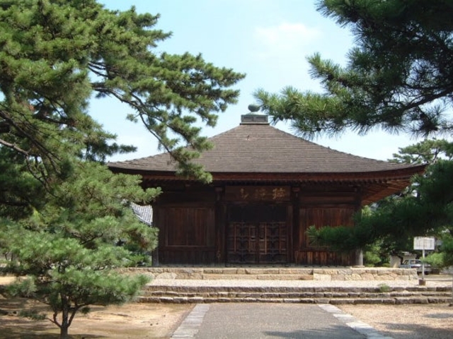 �������߉ޓ�_������