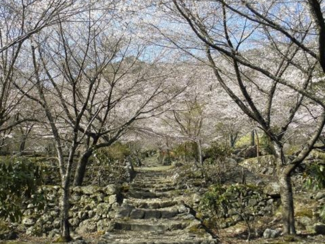 �V�J�R����׉^���@��_�V�J�R����׉^��