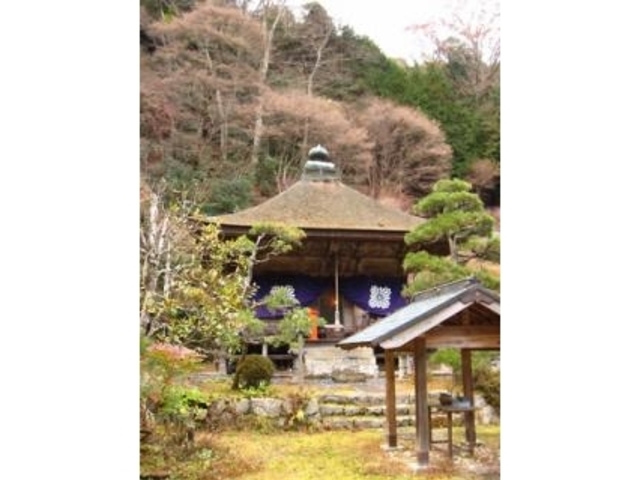 �������i��������j�̎ʐ^1