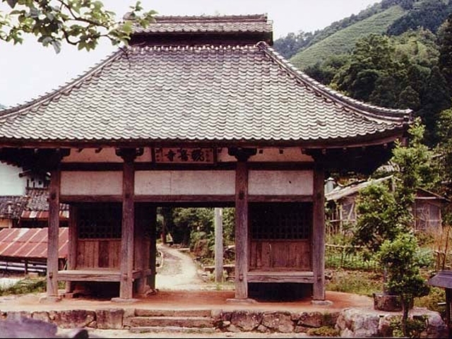 �ω����̎ʐ^1