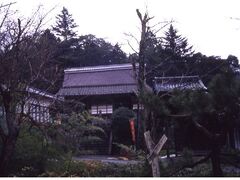 T莛̎ʐ^1