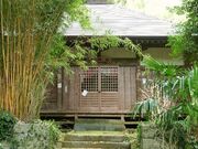 ��T���̎ʐ^1