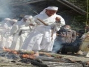 �ѕ��c���i�ɐ��R��j�̎ʐ^3