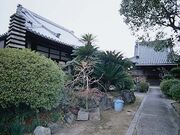 �ѓ����̎ʐ^1