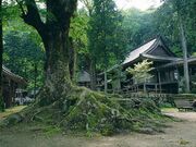 �����@�̎ʐ^2