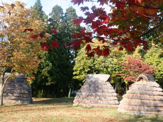 ���҉��~��Ղ̎ʐ^1