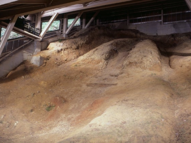 �_���P�J�{�b��q�Ղ̎ʐ^1