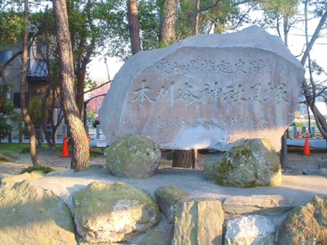 �{���J�L�˂̎ʐ^1