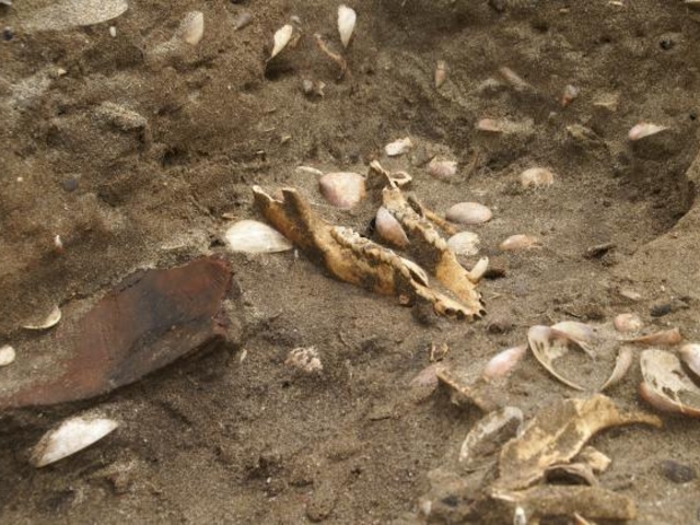 ��w����@�L�ˈ�Ղ̎ʐ^1