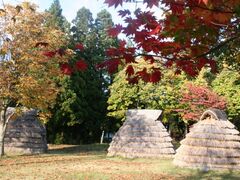 ���҉��~��Ղ̎ʐ^1