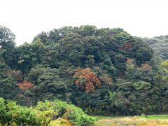 �|�̔���Ղ̎ʐ^1