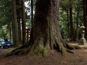 �����ِՁi�ِ_�Ёj�̎ʐ^2