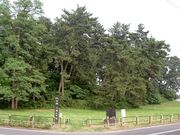 �����R�Õ��̎ʐ^1