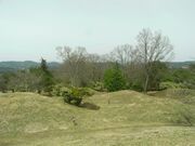 ��y�����c�ˌÕ��Q�̎ʐ^1