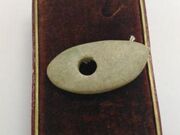 �K�R�x�Ε�Q�̎ʐ^3