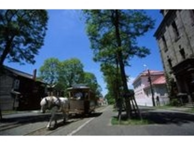 �k�C���J��̑�