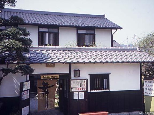 �~�����̔�����