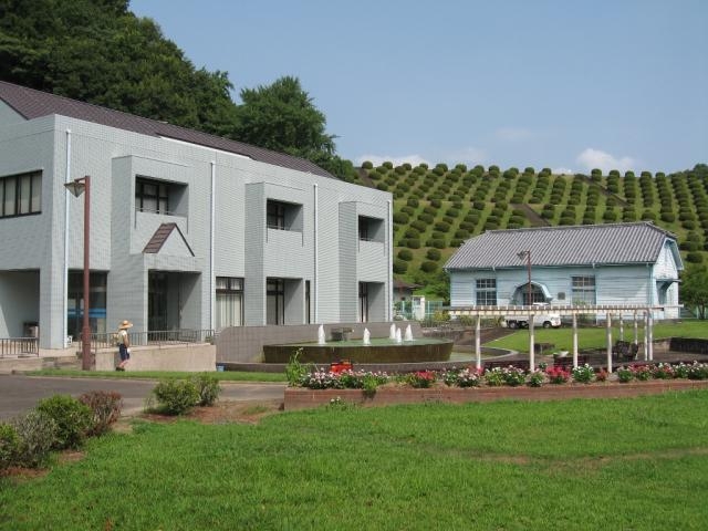 �Îs����������