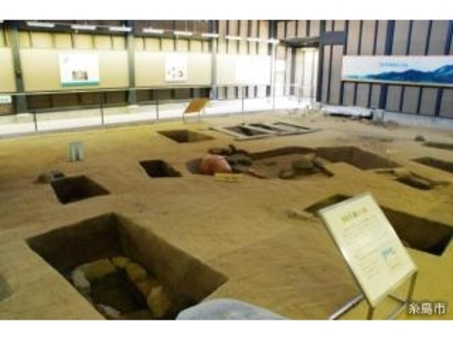 �V����ՓW���ق̎ʐ^1