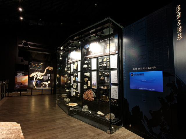 �����ȊO�̉��΂��I_��D������������