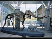 ���꒬�������ق̎ʐ^1