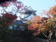 岡崎城の写真3