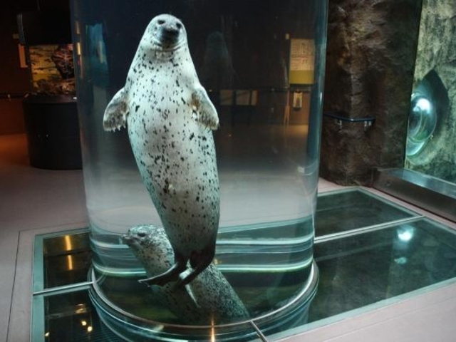 ����s���R������_���R������