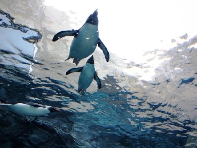 ����s���R������_���R������