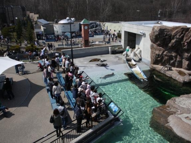 ����s���R������_���R������