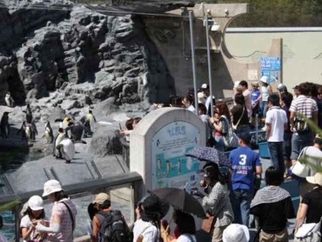 ����s���R������_���R������