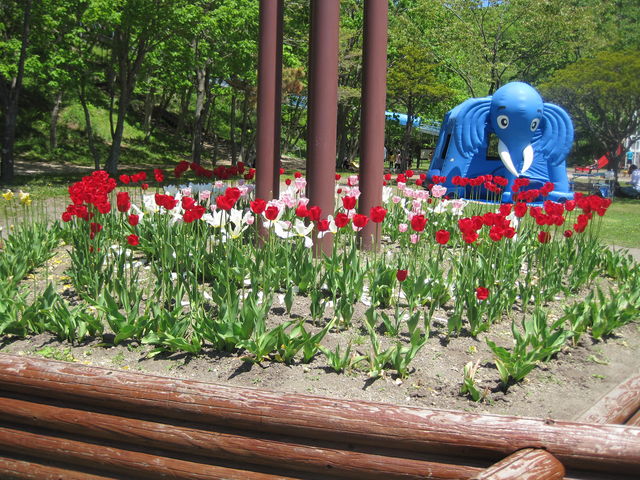 �΃��u�����E�O���[���p�[�N�i400m�x���`�j