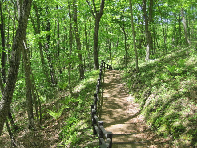 �΃��u�����E�O���[���p�[�N�i400m�x���`�j