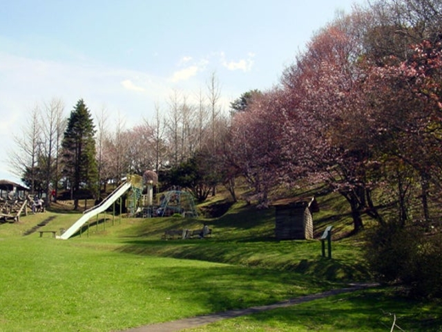 �R�m�����������