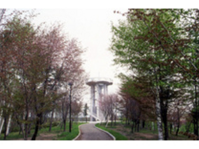 �e�P�X����