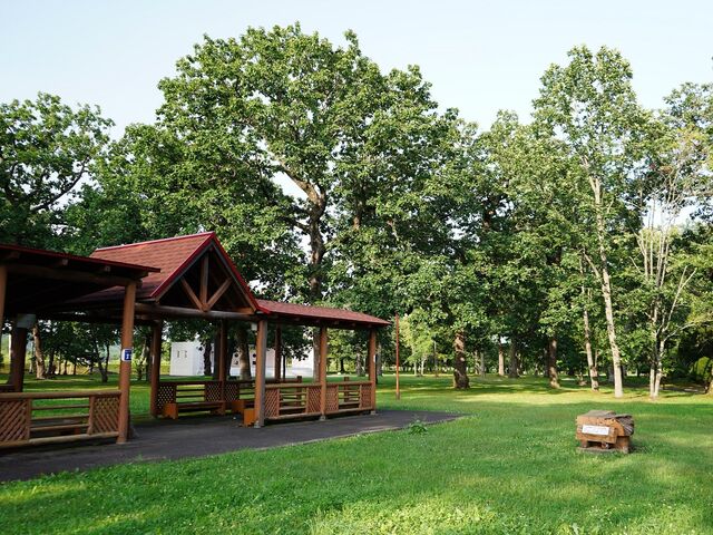 ���ь����̎ʐ^1