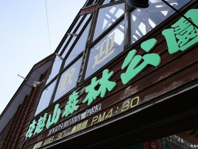 ��z�R�X�ь���_��z�R�X�ь����i�T�{�e�����m�������j