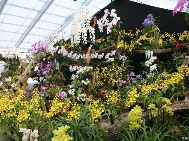 ��z�R�X�ь���(����)_��z�R�X�ь����i�T�{�e�����m�������j