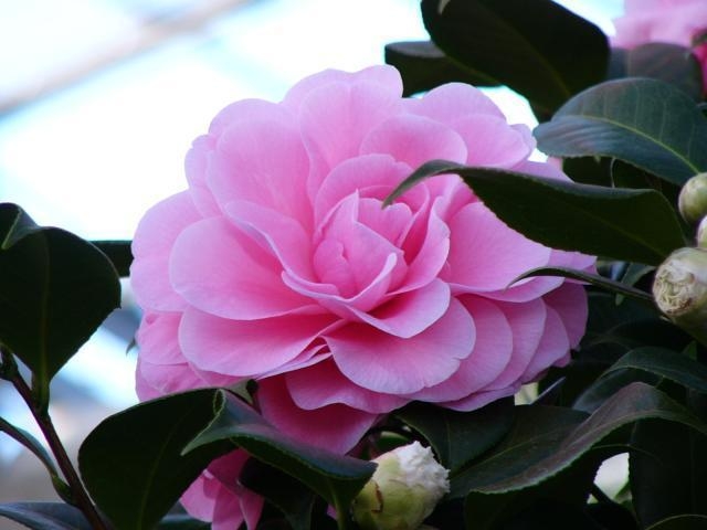 ���E�̒֊فE���