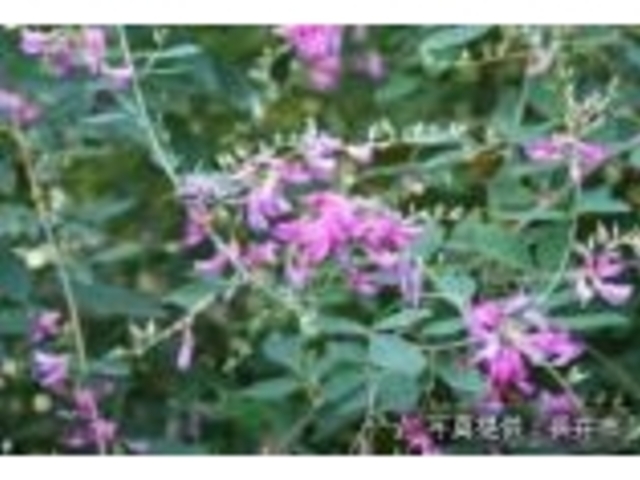 �͂������̎ʐ^1