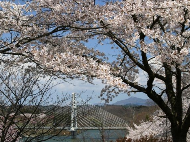 ������̌���_������̌���