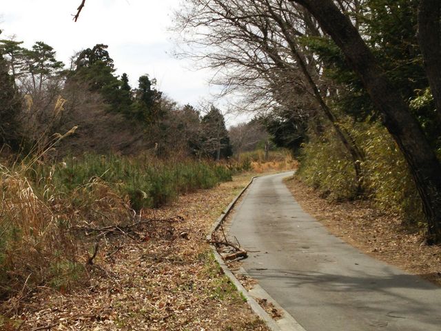 �݂��̂��^�얜�t�A����