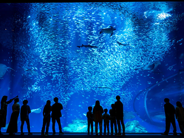 アクアワールド茨城県大洗水族館】予約チケット・割引クーポン・アクセス - じゃらんnet