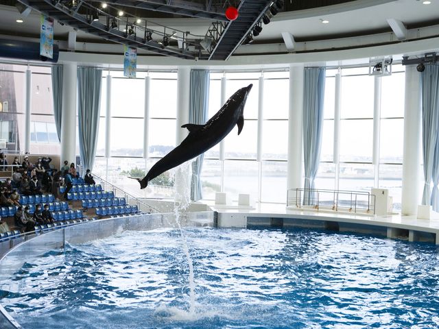 アクアワールド茨城県大洗水族館】予約チケット・割引クーポン・アクセス - じゃらんnet