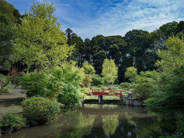 ΉO@Peony Garden Tokyo in Tsukuba